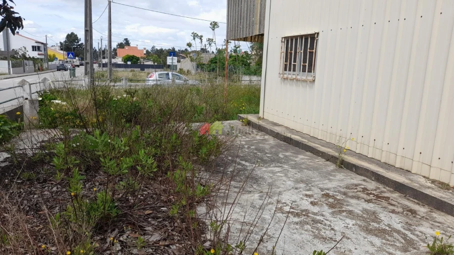 Terreno para Venda em Quinta do Anjo Foto 3