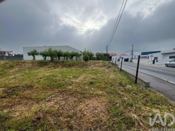 Terreno para Venda em Lamas e Cercal