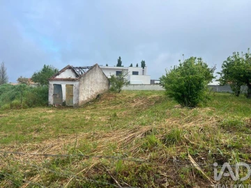 Terreno para Venda em Lamas e Cercal