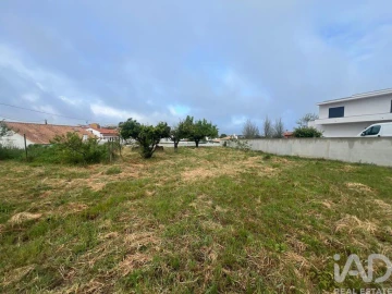 Terreno para Venda em Lamas e Cercal