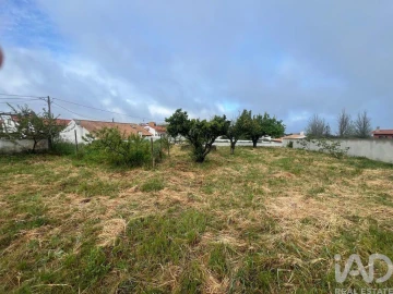 Terreno para Venda em Lamas e Cercal