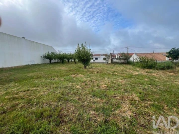 Terreno para Venda em Lamas e Cercal