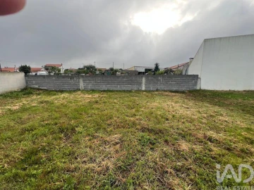 Terreno para Venda em Lamas e Cercal