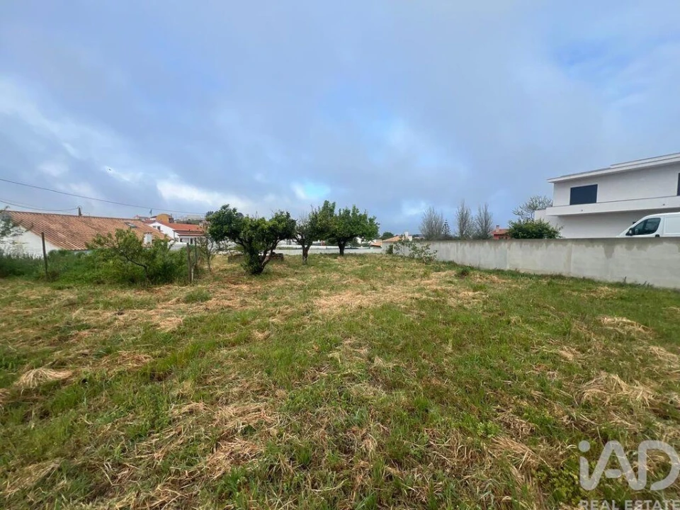 Terreno para Venda em Lamas e Cercal Foto 14