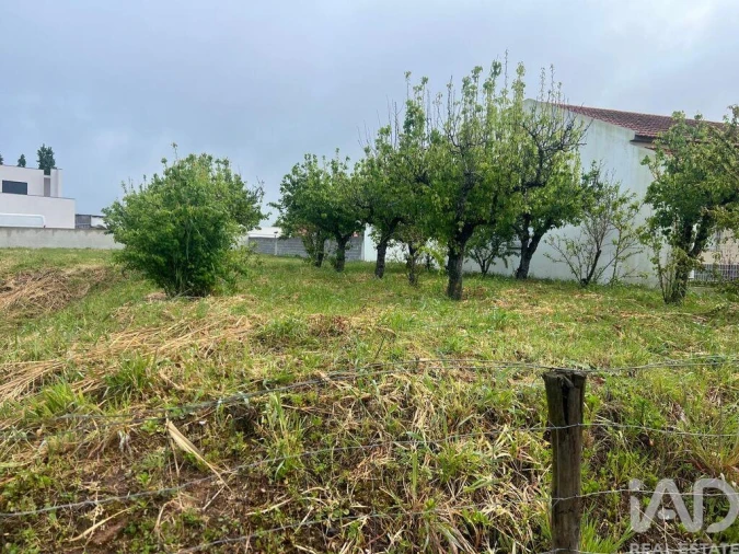 Terreno para Venda em Lamas e Cercal Foto 9