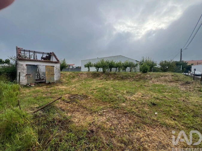 Terreno para Venda em Lamas e Cercal Foto 7