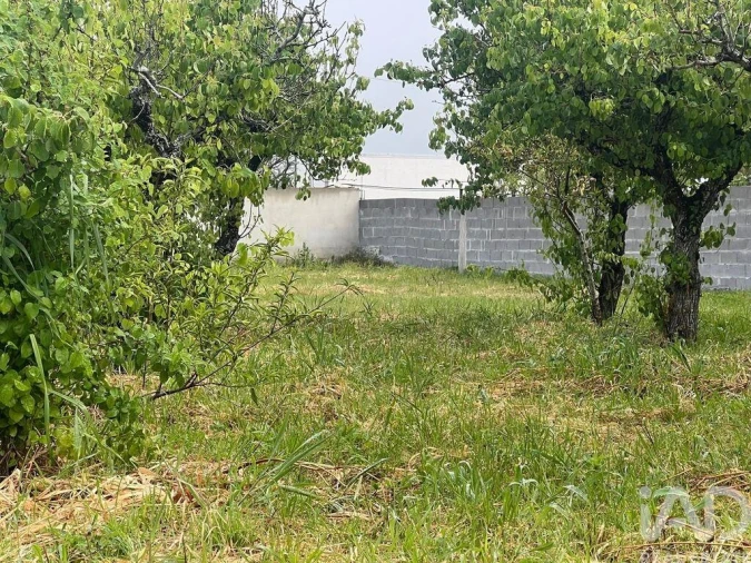 Terreno para Venda em Lamas e Cercal Foto 13