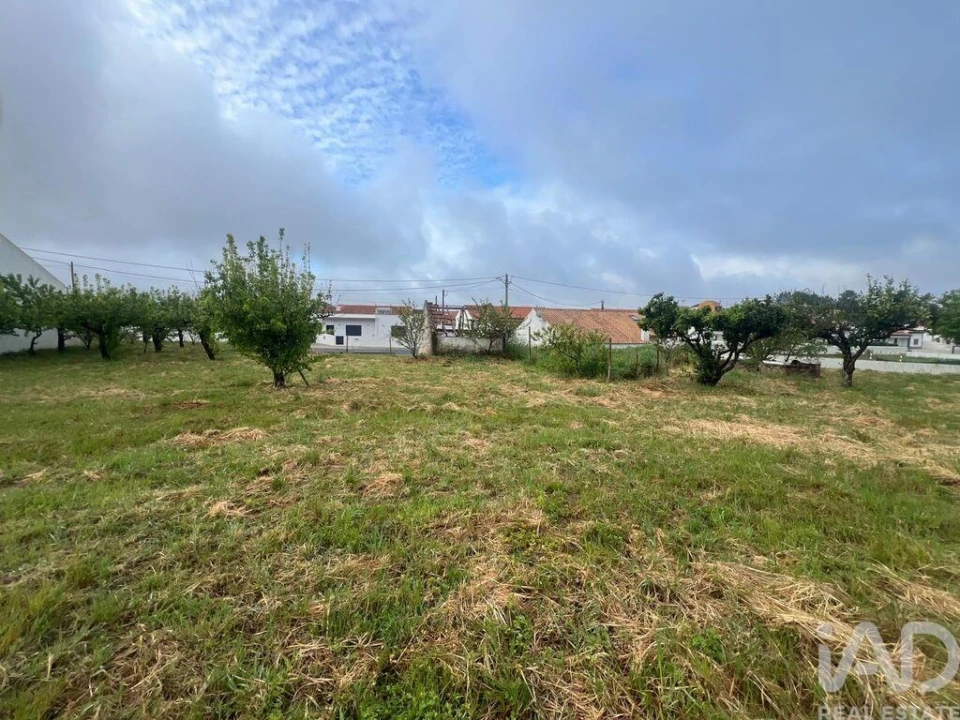 Terreno para Venda em Lamas e Cercal Foto 12