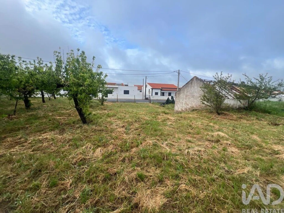 Terreno para Venda em Lamas e Cercal Foto 16