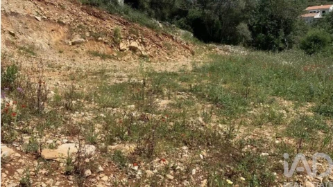 Terreno para Venda em Loule (São Sebastião)