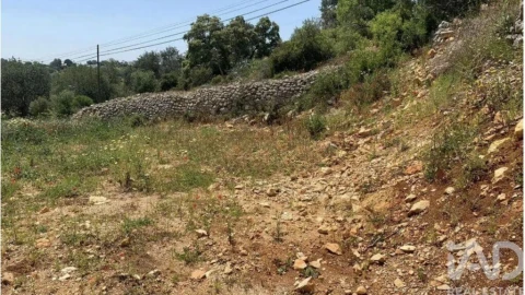 Terreno para Venda em Loule (São Sebastião)