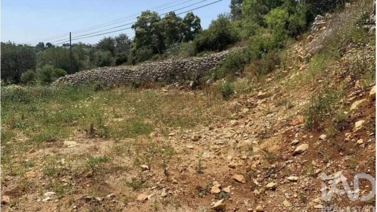 Terreno para Venda em Loule (São Sebastião) Foto 3