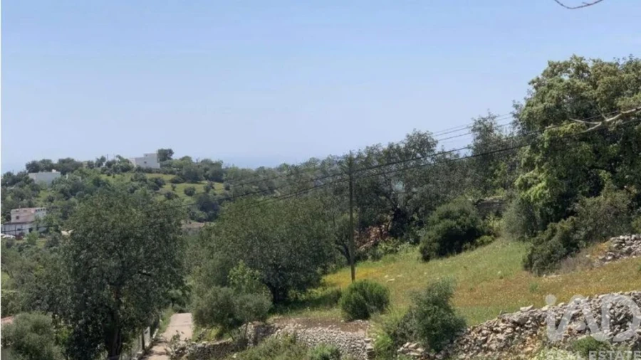 Terreno para Venda em Loule (São Sebastião) Foto 2