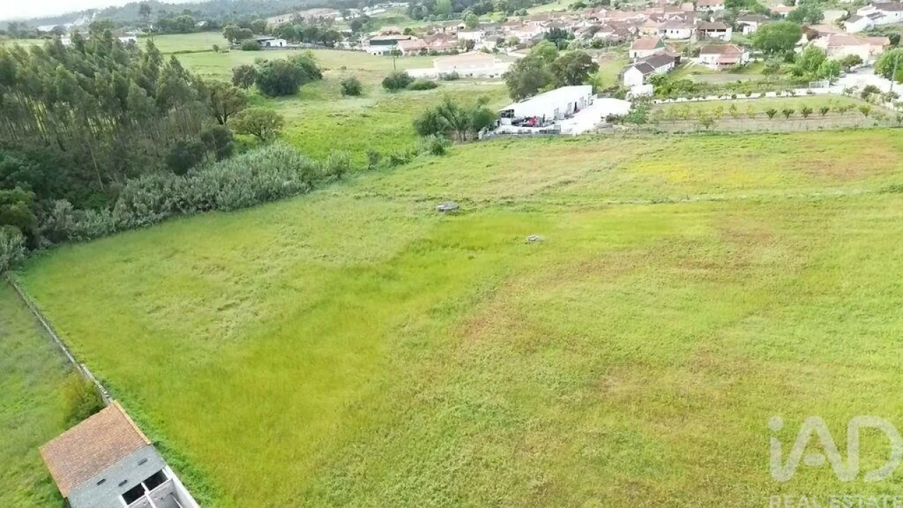 Terreno para Venda em Alcanede Foto 28