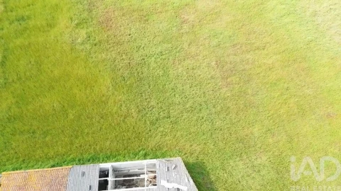 Terreno para Venda em Alcanede