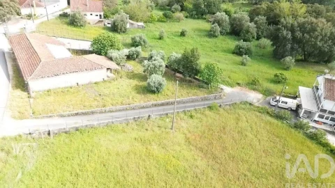 Terreno para Venda em Alcanede