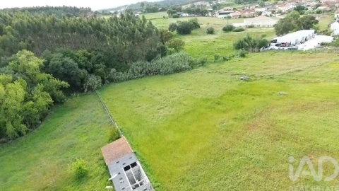 Terreno para Venda em Alcanede