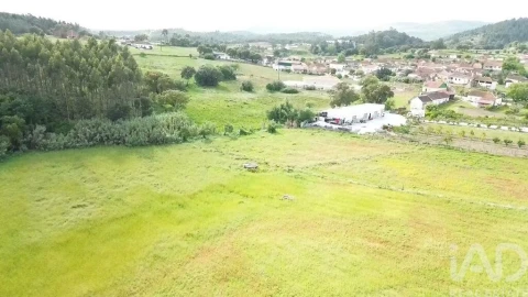 Terreno para Venda em Alcanede
