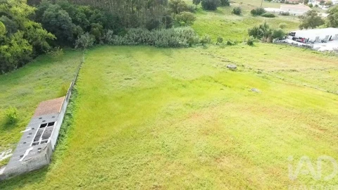 Terreno para Venda em Alcanede