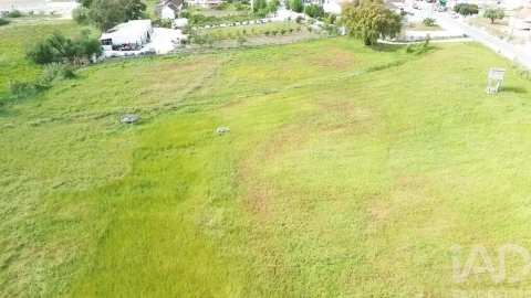 Terreno para Venda em Alcanede