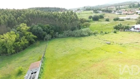 Terreno para Venda em Alcanede
