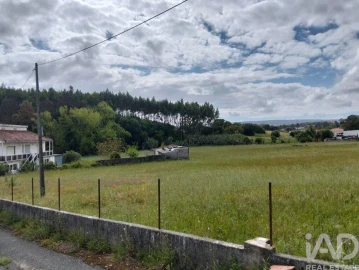 Terreno para Venda em Alcanede