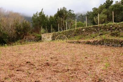Terreno para Venda em Boa Ventura