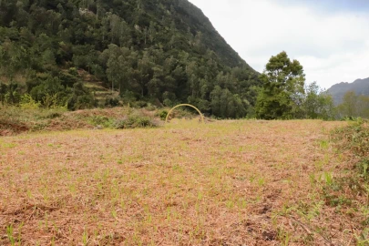 Terreno para Venda em Boa Ventura