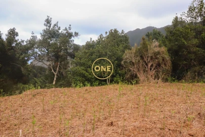 Terreno para Venda em Boa Ventura