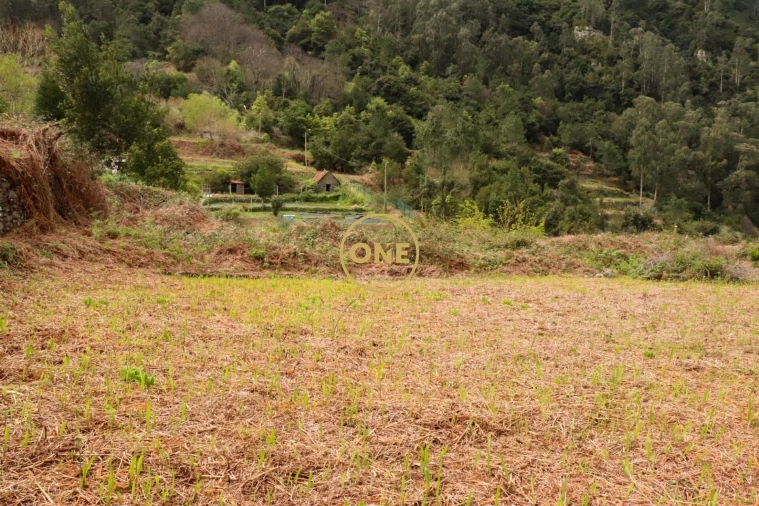 Terreno para Venda em Boa Ventura Foto 27