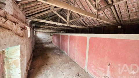 Loja para Venda em Cadaval e Pêro Moniz