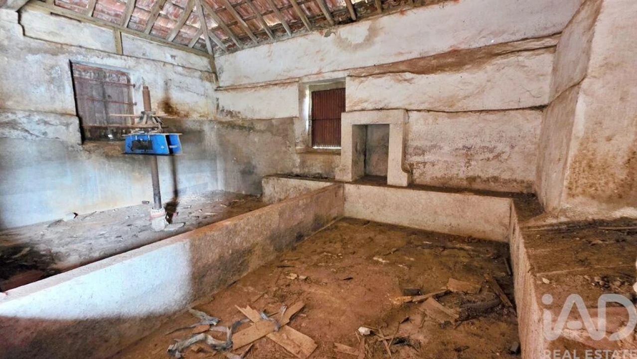 Loja para Venda em Cadaval e Pêro Moniz Foto 3