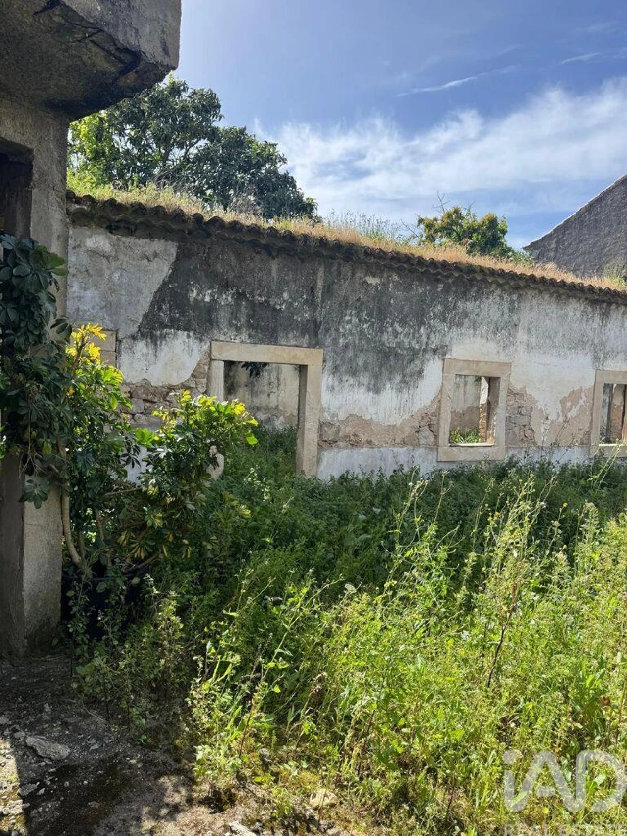 Terreno para Venda em Malhou, Louriceira e Espinheiro Foto 1