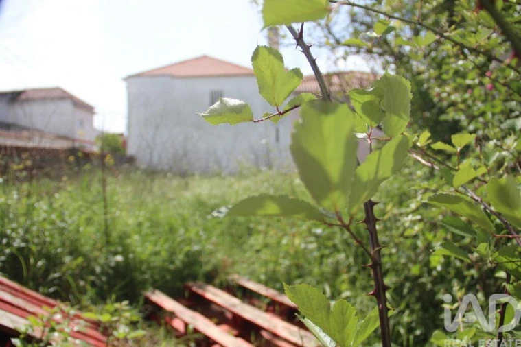 Terreno para Venda em Malhou, Louriceira e Espinheiro Foto 3