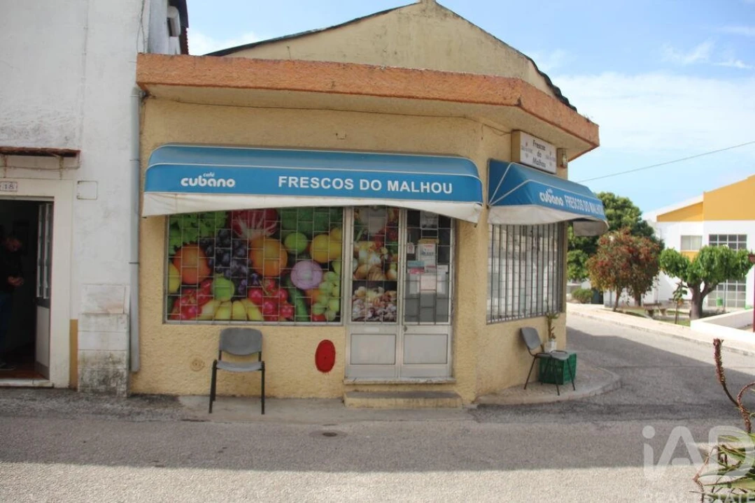 Terreno para Venda em Malhou, Louriceira e Espinheiro Foto 13