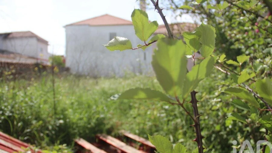 Terreno para Venda em Malhou, Louriceira e Espinheiro