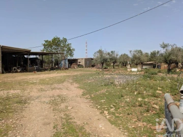 Terreno para Venda em Estremoz (Santa Maria e Santo André)