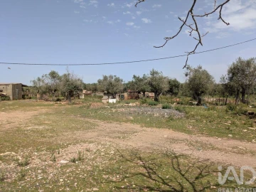 Terreno para Venda em Estremoz (Santa Maria e Santo André)
