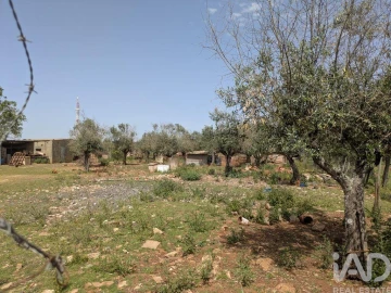 Terreno para Venda em Estremoz (Santa Maria e Santo André)