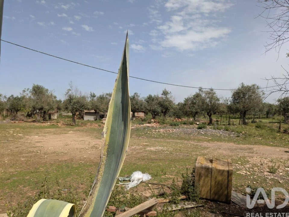Terreno para Venda em Estremoz (Santa Maria e Santo André) Foto 6