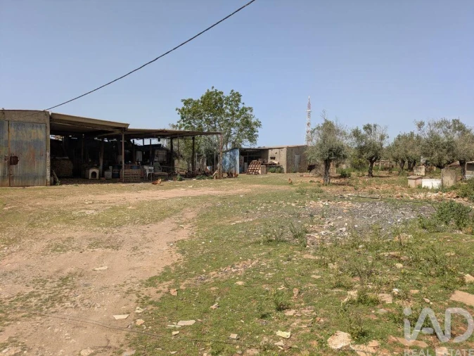 Terreno para Venda em Estremoz (Santa Maria e Santo André) Foto 3