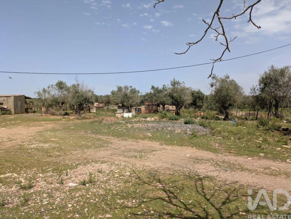 Terreno para Venda em Estremoz (Santa Maria e Santo André) Foto 5