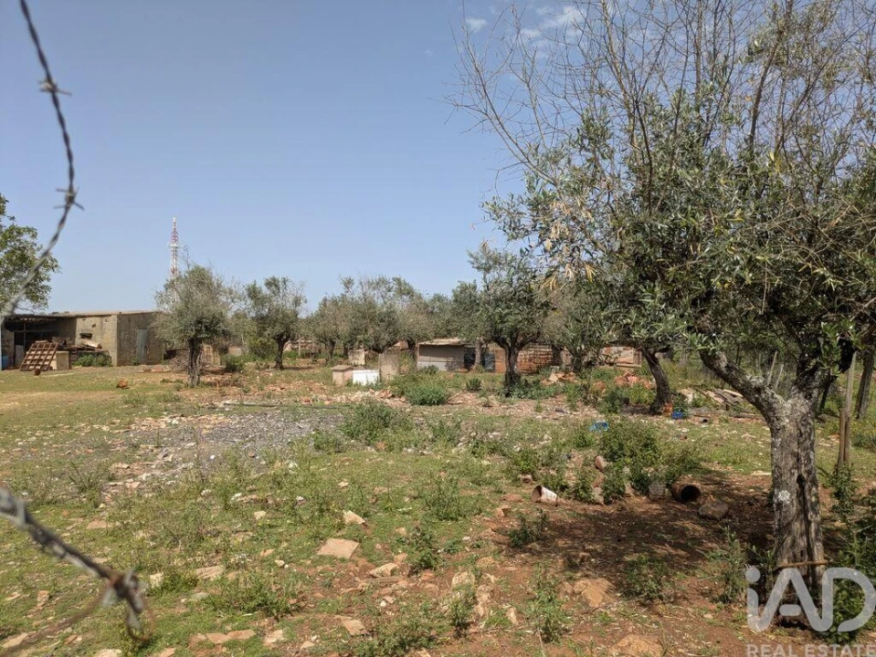 Terreno para Venda em Estremoz (Santa Maria e Santo André) Foto 2