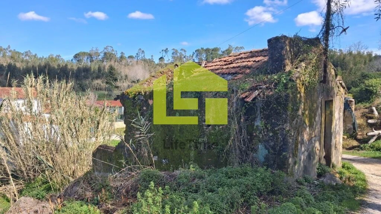 Terreno para Venda em Condeixa-A-Velha e Condeixa-A-Nova Foto 31