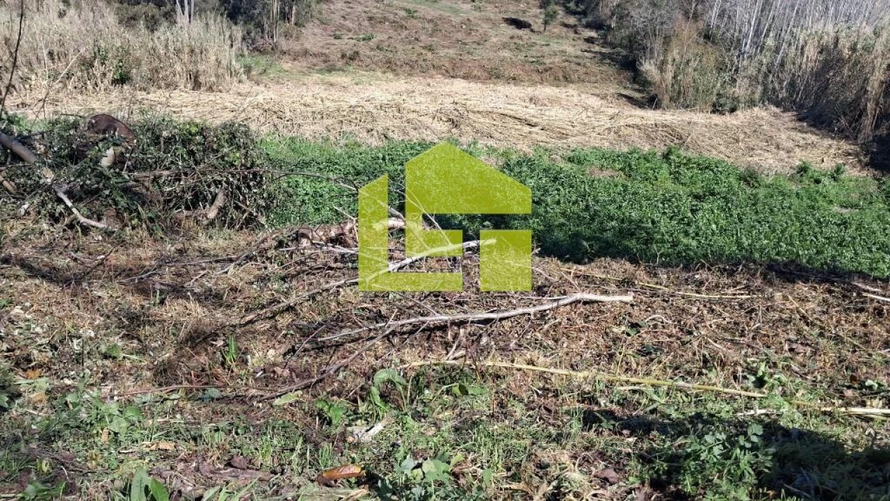 Terreno para Venda em Condeixa-A-Velha e Condeixa-A-Nova Foto 22