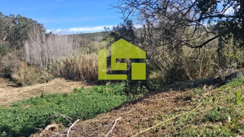 Terreno para Venda em Condeixa-A-Velha e Condeixa-A-Nova