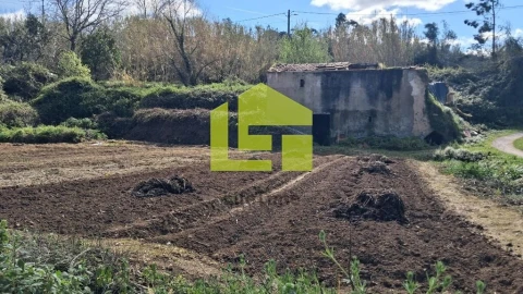 Terreno para Venda em Condeixa-A-Velha e Condeixa-A-Nova