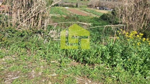 Terreno para Venda em Condeixa-A-Velha e Condeixa-A-Nova