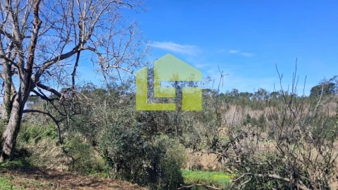 Terreno para Venda em Condeixa-A-Velha e Condeixa-A-Nova