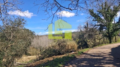 Terreno para Venda em Condeixa-A-Velha e Condeixa-A-Nova